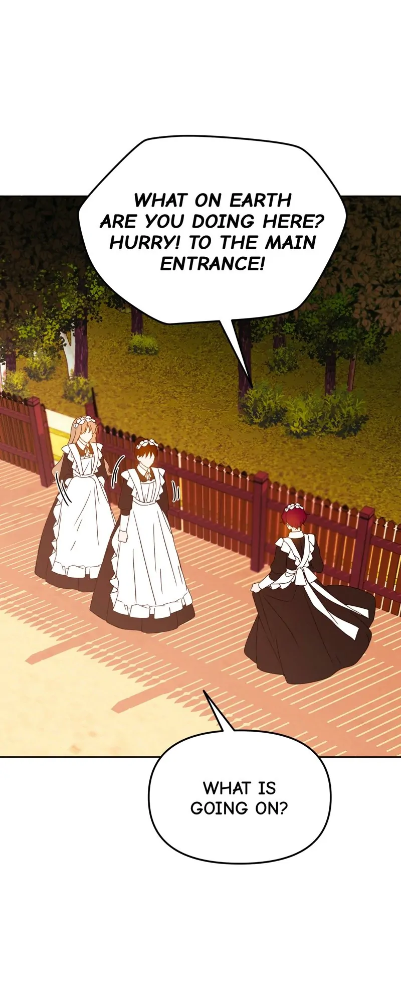 46528916 800 2000 110834