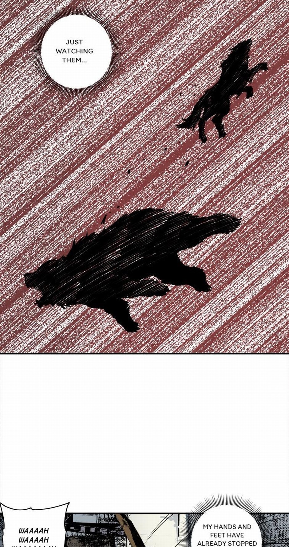 63625599 940 1774 670311