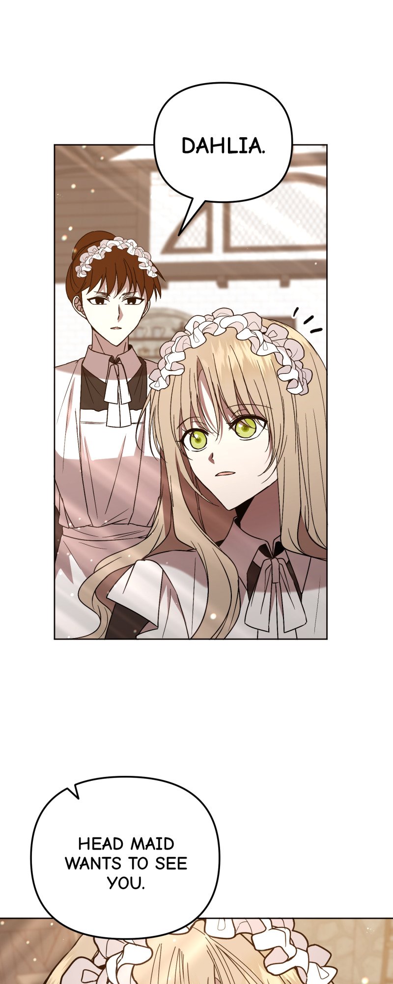 50297879 800 2000 181988